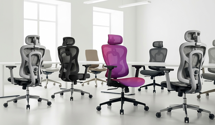 A Complete Guide to Choosing the Best Business Office Chairs for Your Workplace