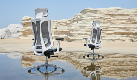 Executive Chairs: A Professional's Comprehensive Guide