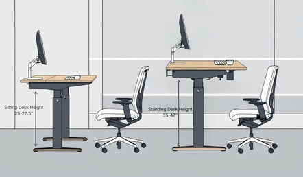 How to Determine the Best Ergonomic Desk Height for Maximum Comfort and Productivity