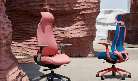 Best Office Chair for Back Pain: A Comprehensive Guide