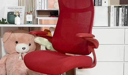 Best Office Chairs for Back Pain: Finding Relief and Comfort in Your Workspace