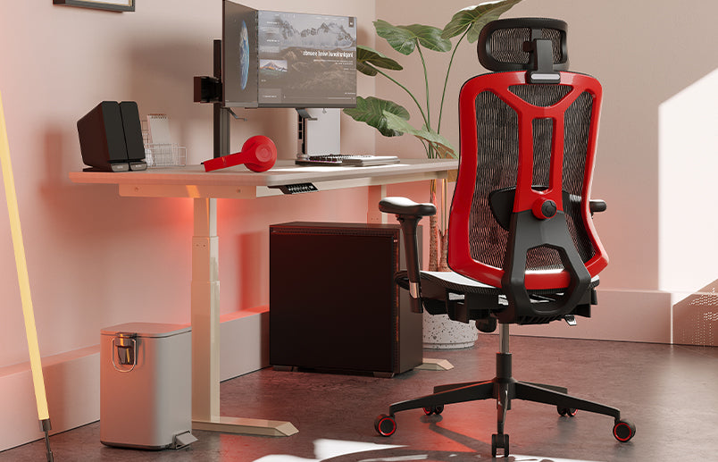 Logicfox Ergonomic Chair Flex